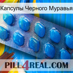 Капсулы Черного Муравья viagra1